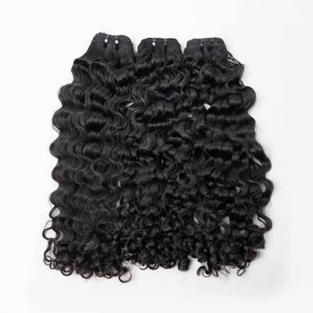 BURMESE CURLY